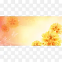 花朵背景banner