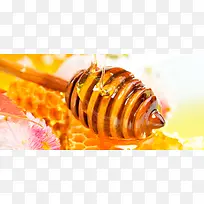 蜂蜜背景图