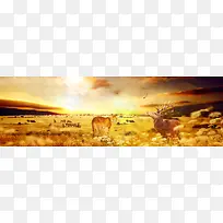 黄昏 日出背景banner