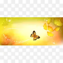秋天金黄落叶银杏叶背景banner