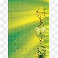 医疗饮食科学营养保健
