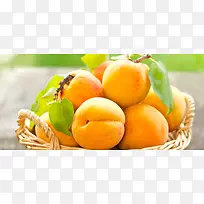杏美食水果小清新背景