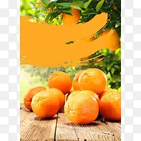 新鲜柑橘海报背景模板