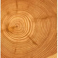 木头年轮纹理背景素材