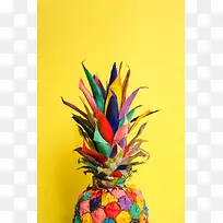 彩色菠萝H5背景