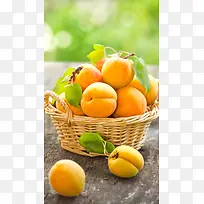 杏美食水果小清新背景