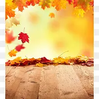 秋天树叶文艺木板实景