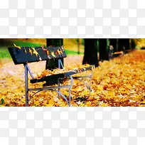 秋天公园长椅