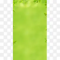 清新树叶露珠绿色H5背景素材