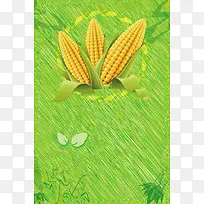 新鲜玉米海报背景