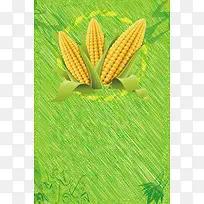 绿色圆圈中的玉米背景素材
