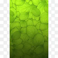 绿色叶子淘宝全屏背景