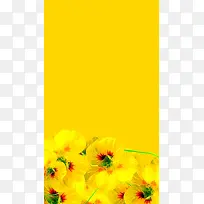 简约黄底黄色花朵H5背景素材