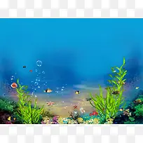海底 世界 珊瑚 海草 海报 背景 元素