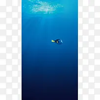 蓝色海底卡通鱼背景H5