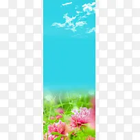 小清新蓝天花卉展板背景