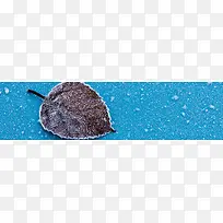 冬天背景banner