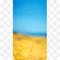 清新浪漫油菜花h5背景