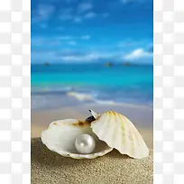 海边贝壳里的珍珠背景