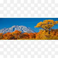 淘宝banner