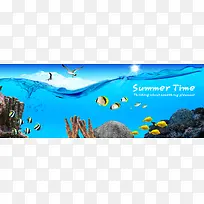 蓝色海洋生物banner背景