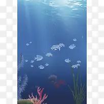 简约大气海底世界广告