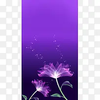 紫色透明花朵H5背景
