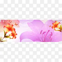 卡通百合花卉背景