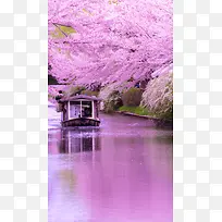 粉色风景H5背景