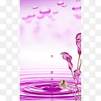 紫色康乃馨美容瑜伽意境背景