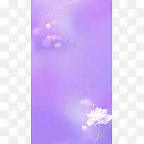 白色玫瑰下的紫色H5背景