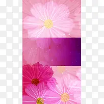 粉色清新花卉H5背景