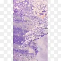 唯美紫色花卉H5背景