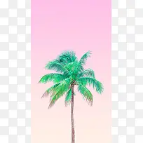 粉色简约棕榈树背景图