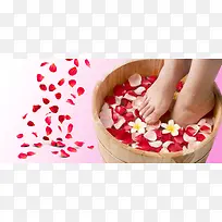 足浴花瓣背景banner