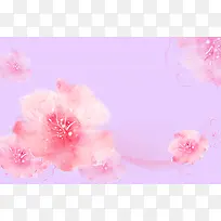 唯美浪漫粉色花卉背景