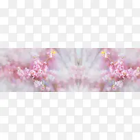花朵banner