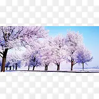 冬季背景