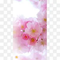 春天赏花季H5粉色鲜花海报背景psd下载