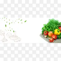 蔬菜简约白色banner