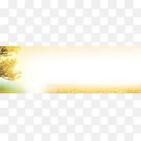 希望的田园banner背景图
