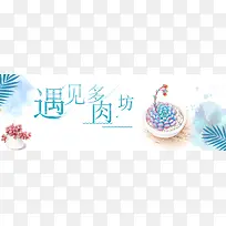 手绘多肉植物文艺清新banner