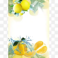 沙田柚子海报设计背景模板