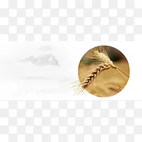 秋季简约白色banner