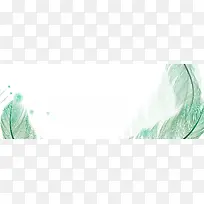 绿色简约手绘羽毛女装海报banner