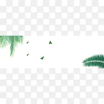 夏季热带植物树叶海报背景素材