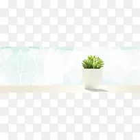 春天玻璃绚丽叶子植物蓝banner