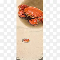 螃蟹美食展架背景素材