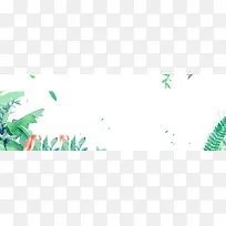 热带植物banner