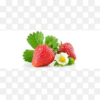 草莓水果组合